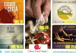 Gli spettacoli della Carovana